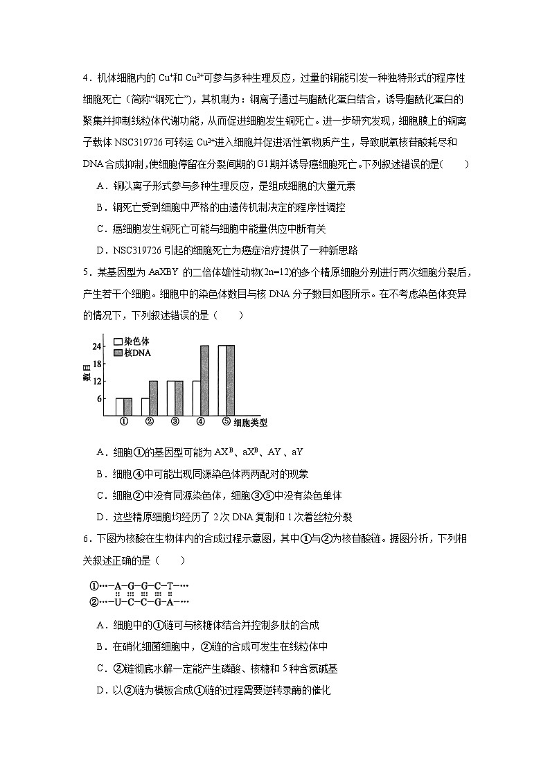 2025届河南省部分重点高中高三12月联考模拟预测生物试题第2页