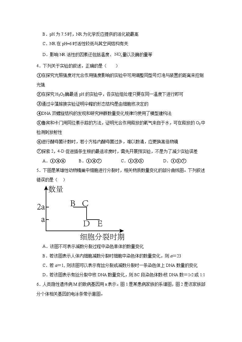 云南省丽江市2024-2025学年高三复习统一检测（12月）生物试卷 (1)第2页