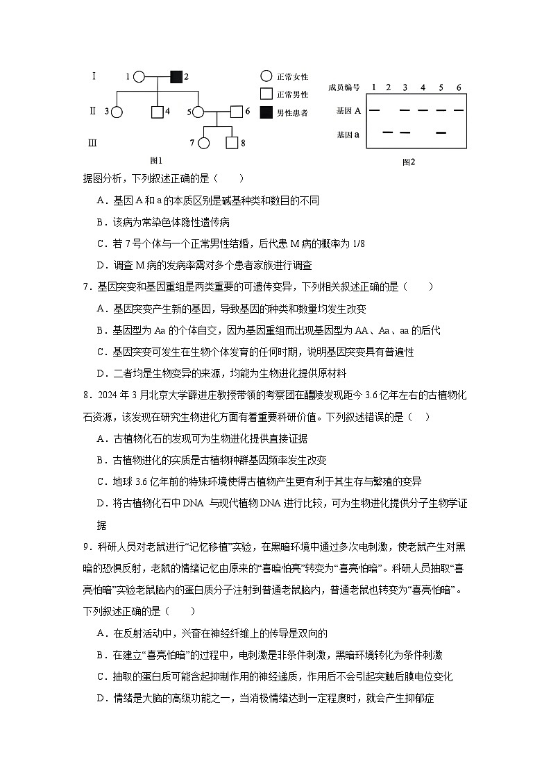 云南省丽江市2024-2025学年高三复习统一检测（12月）生物试卷 (1)第3页
