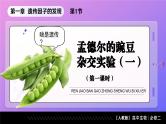1.1孟德尔的豌豆杂交实验（一）（第1课时）课件-2024-2025学年高一下学期生物（人教版2019必修2）