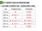 1.1 孟德尔的豌豆杂交实验（一）（第3课时）-2024-2025学年高一生物下学期精品课件（2019人教版必修2）
