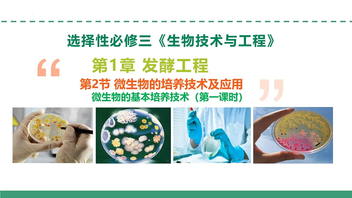 1.2 微生物的培养技术及应用（第一课时）（教学课件）-2024-2025学年高二生物（人教版2019选择性必修3）第1页