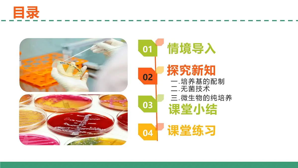 1.2 微生物的培养技术及应用（第一课时）（教学课件）-2024-2025学年高二生物（人教版2019选择性必修3）第2页