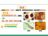 1.2 微生物的培养技术及应用（第一课时）（教学课件）-2024-2025学年高二生物（人教版2019选择性必修3）