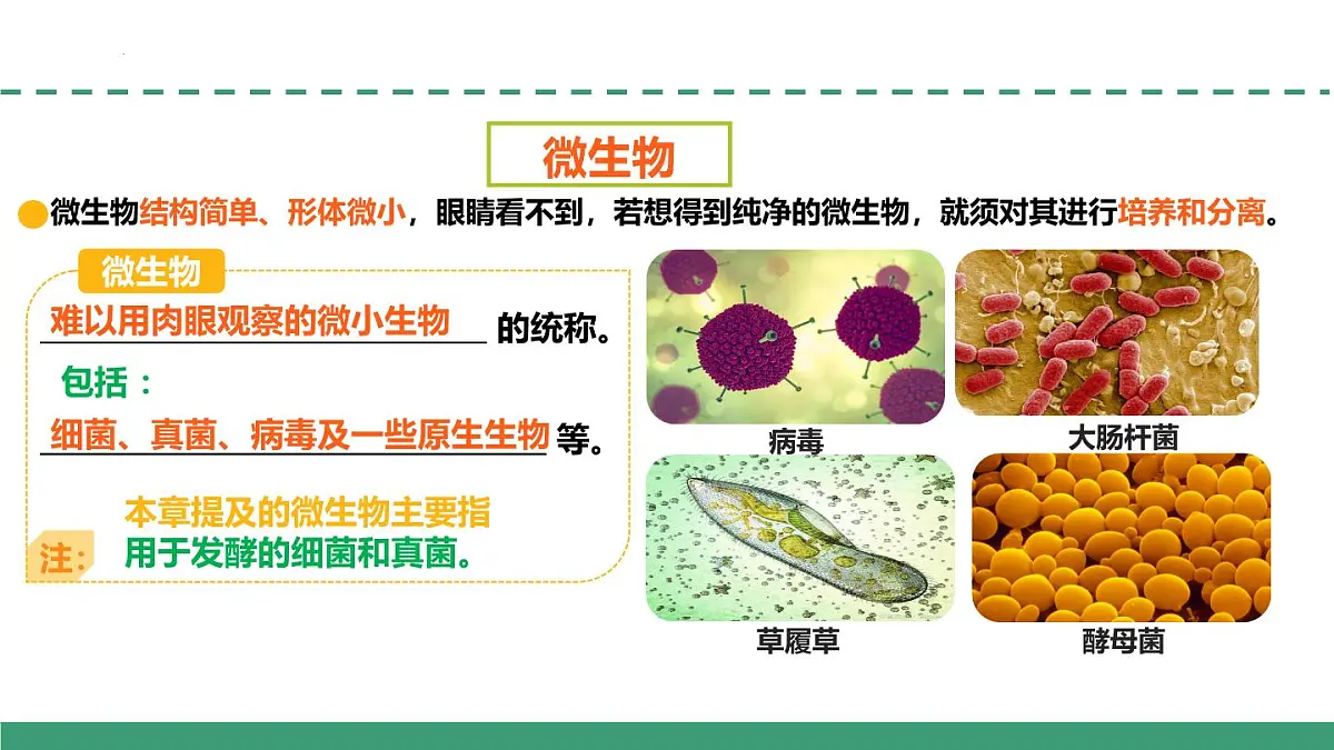 1.2 微生物的培养技术及应用（第一课时）（教学课件）-2024-2025学年高二生物（人教版2019选择性必修3）第4页