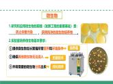 1.2 微生物的培养技术及应用（第一课时）（教学课件）-2024-2025学年高二生物（人教版2019选择性必修3）