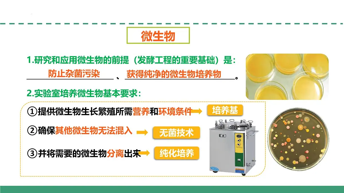 1.2 微生物的培养技术及应用（第一课时）（教学课件）-2024-2025学年高二生物（人教版2019选择性必修3）第5页