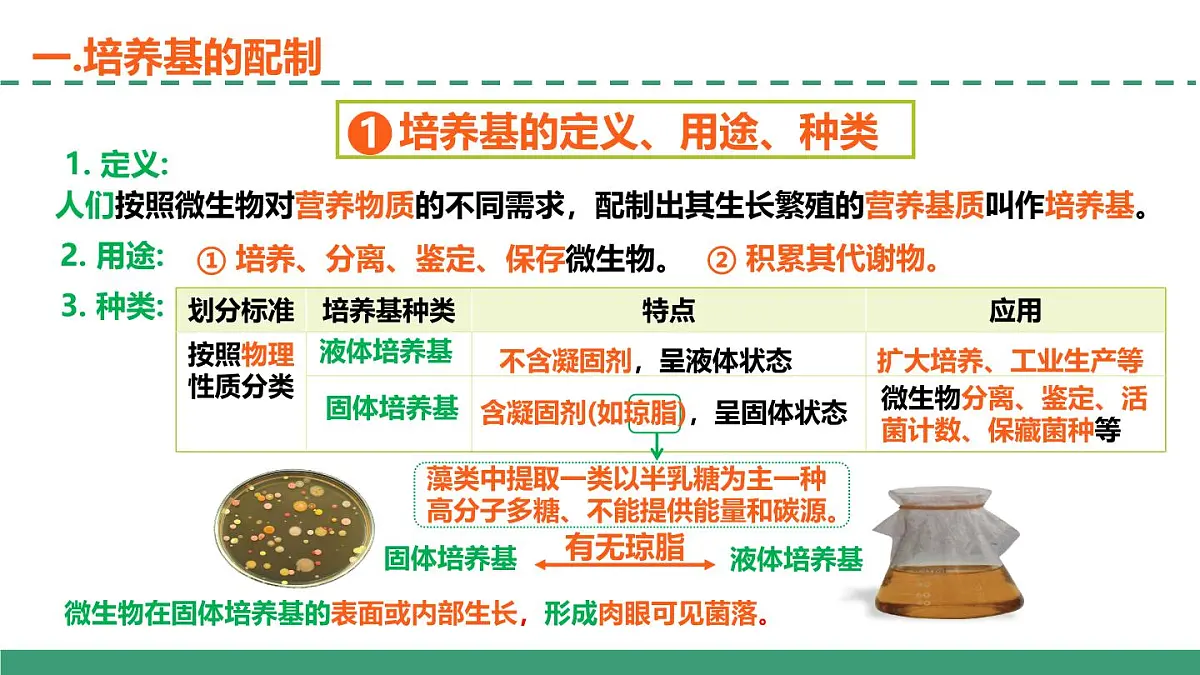 1.2 微生物的培养技术及应用（第一课时）（教学课件）-2024-2025学年高二生物（人教版2019选择性必修3）第6页