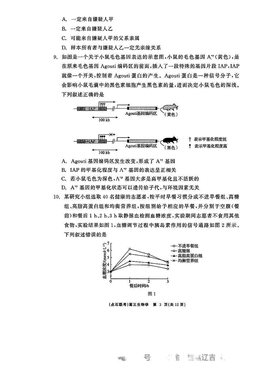 2025届高三年级点石3月联考生物试卷+答案第3页