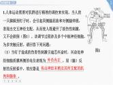 2025年新高考生物二轮专题复习课件板块三稳态与调节4热考提升练（三）神经—体液—免疫调节综合应用