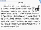 2025年新高考生物二轮专题复习课件板块二遗传与进化5情境命题最前沿8“剂量补偿效应”与伴性遗传