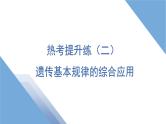 2025年新高考生物二轮专题复习课件板块二遗传与进化4热考提升练（二）遗传基本规律的综合应用