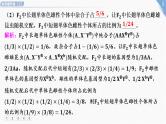 2025年新高考生物二轮专题复习课件板块二遗传与进化4热考提升练（二）遗传基本规律的综合应用