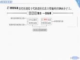 2025年新高考生物二轮专题复习课件板块二遗传与进化1专题五遗传的分子基础