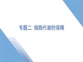 2025年新高考生物二轮专题复习课件板块一分子与细胞4专题二细胞代谢的保障