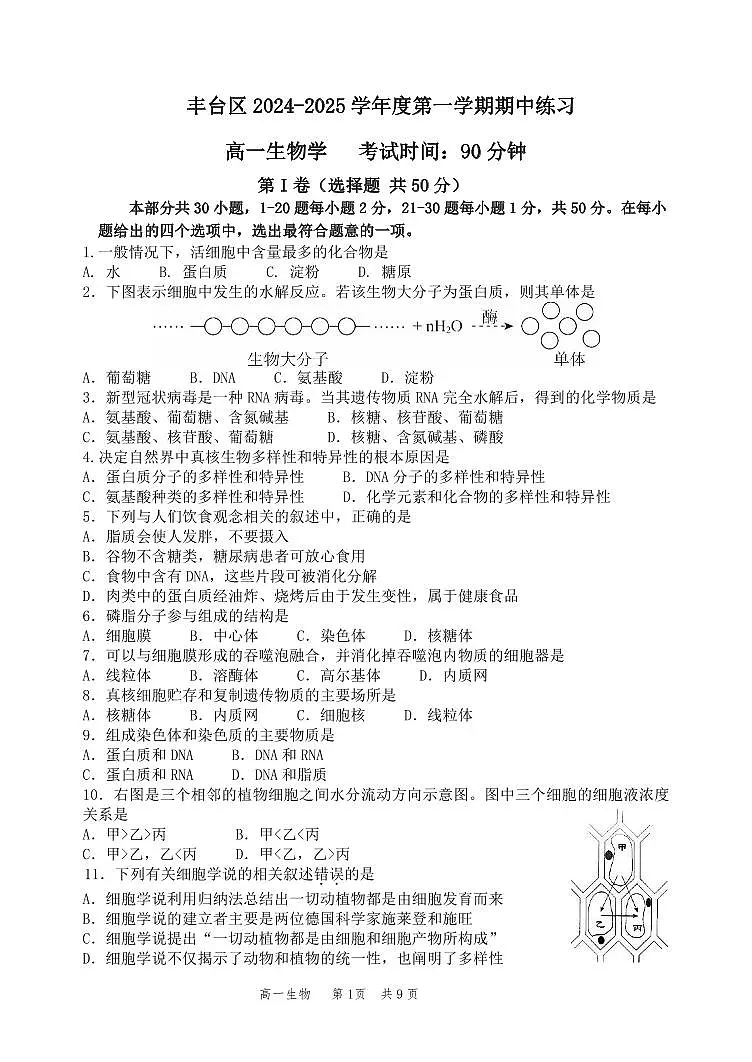 2024北京丰台高一（上）期中生物（A卷）试卷（有答案）第1页
