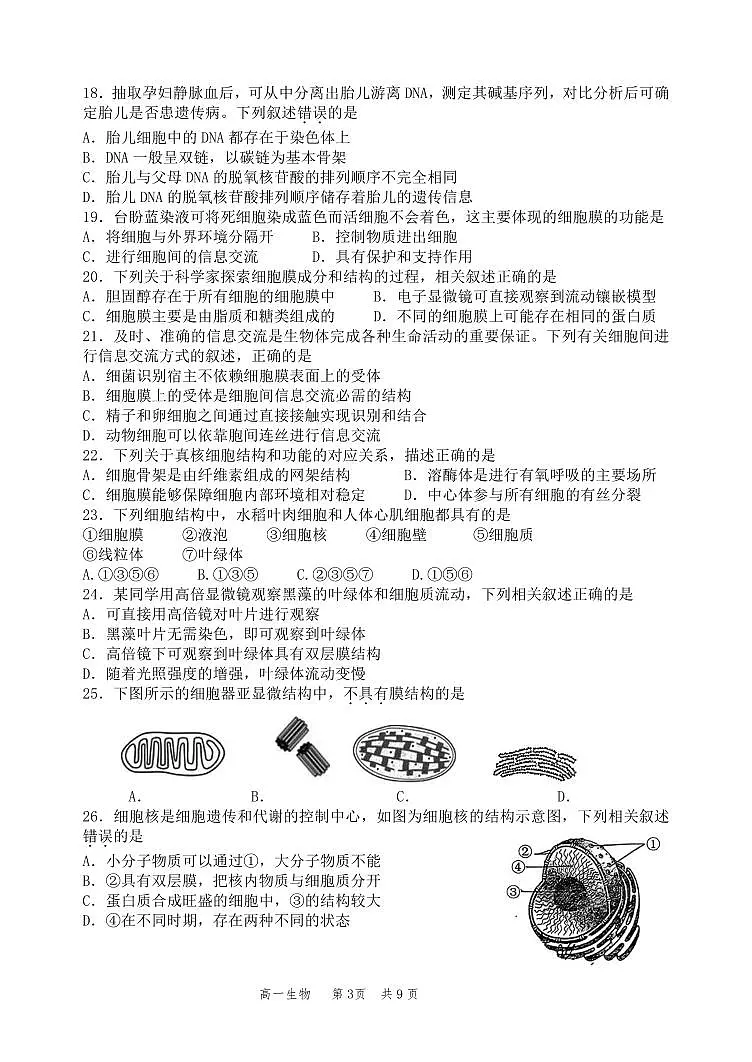 2024北京丰台高一（上）期中生物（A卷）试卷（有答案）第3页