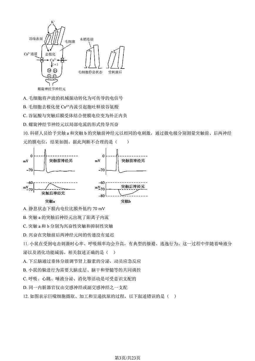 2024北京八十中高二（上）期中生物试卷（有答案）第3页