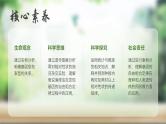 人教版2025高中生物必修二1.2.1孟德尔的豌豆杂交实验（二）上 课件