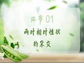 人教版2025高中生物必修二1.2.1孟德尔的豌豆杂交实验（二）上 课件