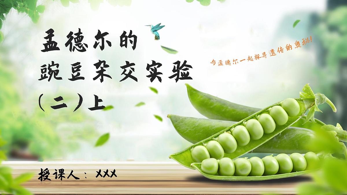 人教版2025高中生物必修二1.2.1孟德尔的豌豆杂交实验（二）上 课件第1页