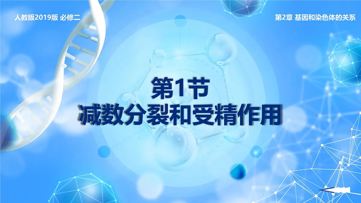 人教版2025高中生物必修二2.1减数分裂和受精作用 课件第1页