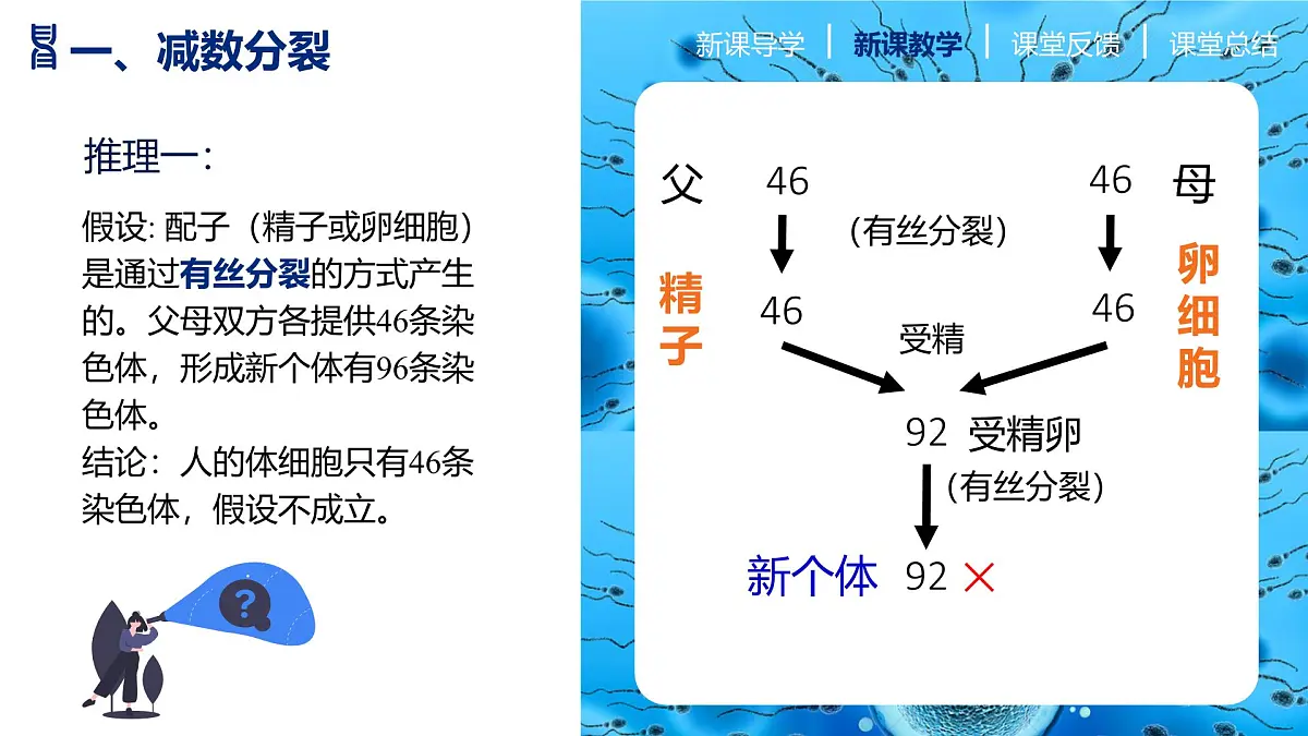 人教版2025高中生物必修二2.1减数分裂和受精作用 课件第8页