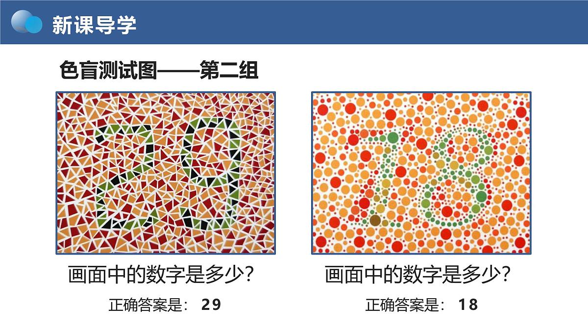 人教版2025高中生物必修二2.3《伴性遗传》 课件第5页