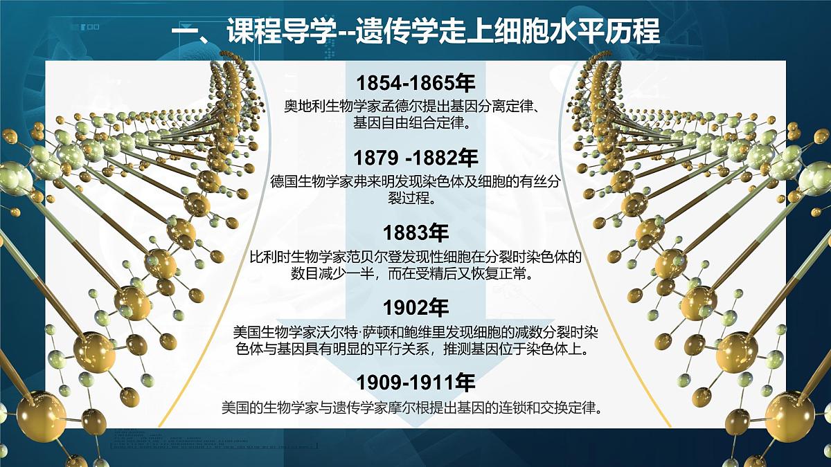 人教版2025高中生物必修二3.1DNA是主要的遗传物质（静态） 课件第2页