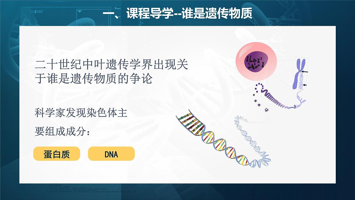 人教版2025高中生物必修二3.1DNA是主要的遗传物质（静态） 课件第3页