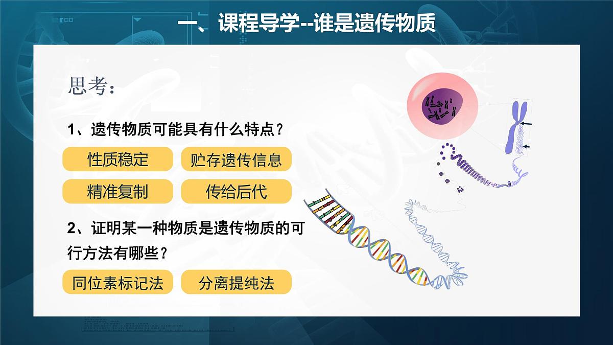 人教版2025高中生物必修二3.1DNA是主要的遗传物质（静态） 课件第4页