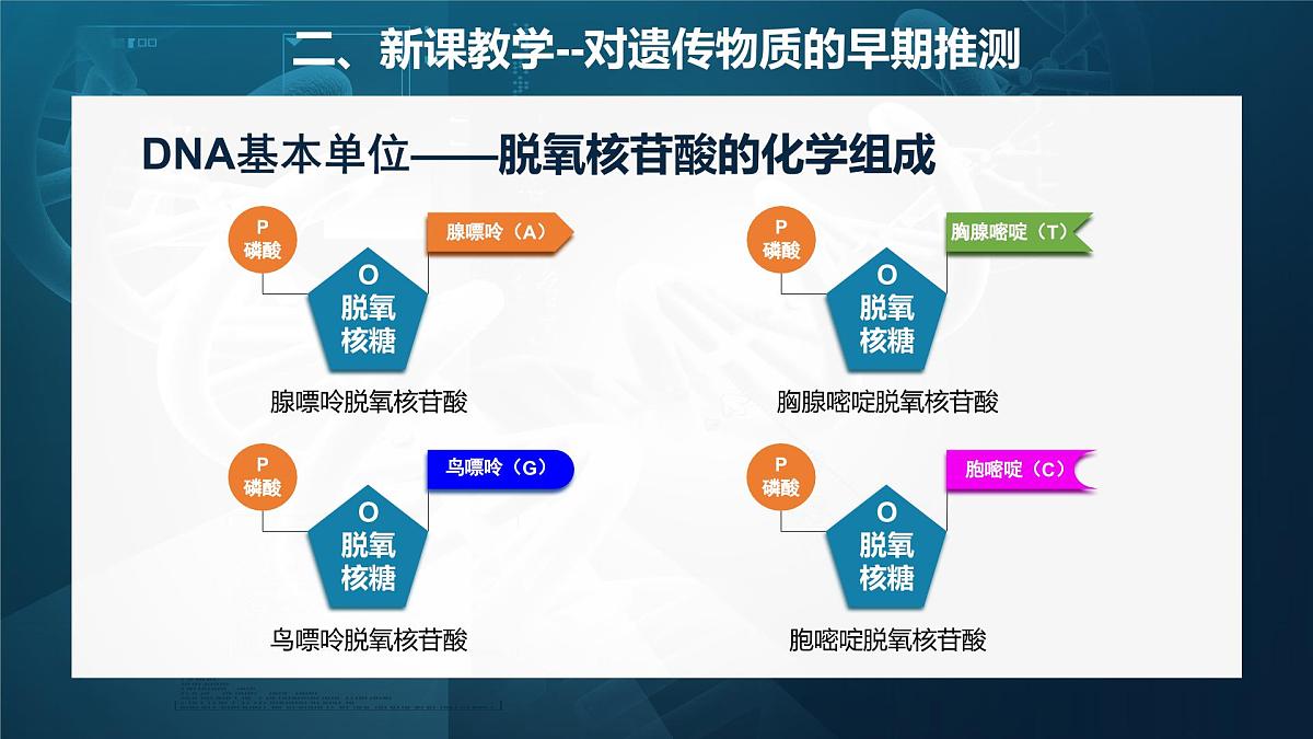 人教版2025高中生物必修二3.1DNA是主要的遗传物质（静态） 课件第7页
