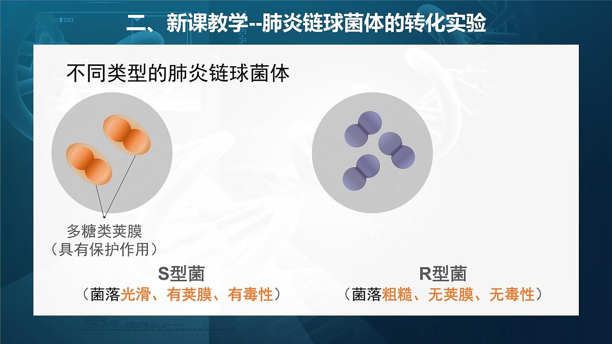 人教版2025高中生物必修二3.1DNA是主要的遗传物质（静态） 课件第8页