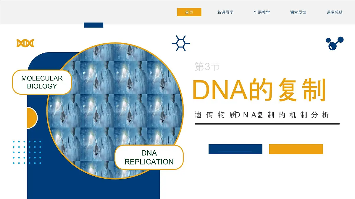 人教版2025高中生物必修二3.3DNA的复制 课件第1页