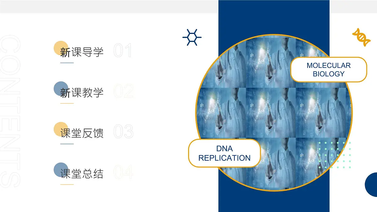人教版2025高中生物必修二3.3DNA的复制 课件第2页