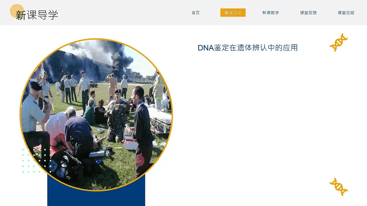 人教版2025高中生物必修二3.3DNA的复制 课件第4页