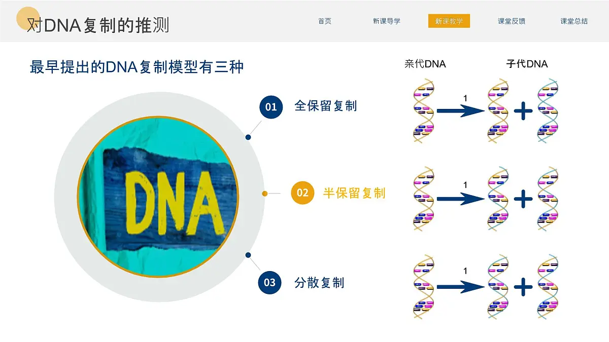 人教版2025高中生物必修二3.3DNA的复制 课件第6页