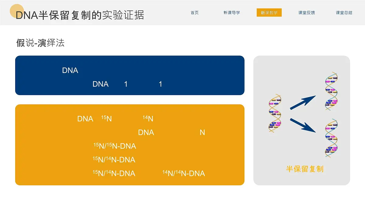 人教版2025高中生物必修二3.3DNA的复制 课件第8页