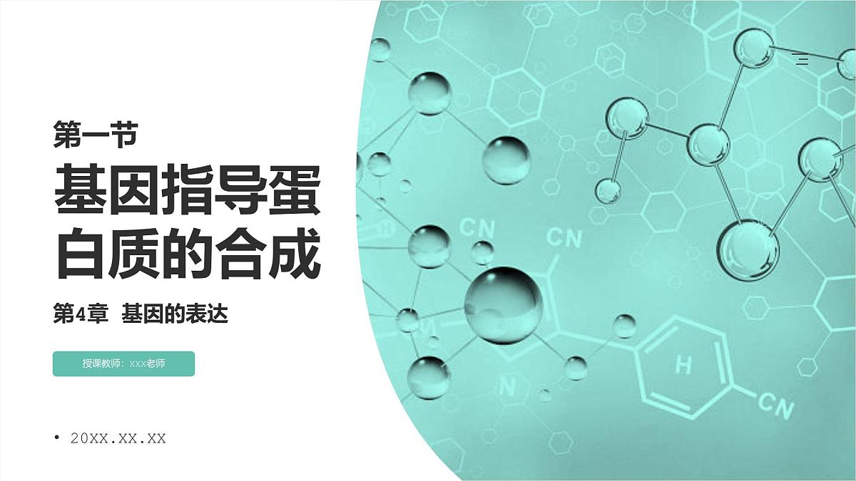 人教版2025高中生物必修二4.1基因指导蛋白质的合成 课件第1页