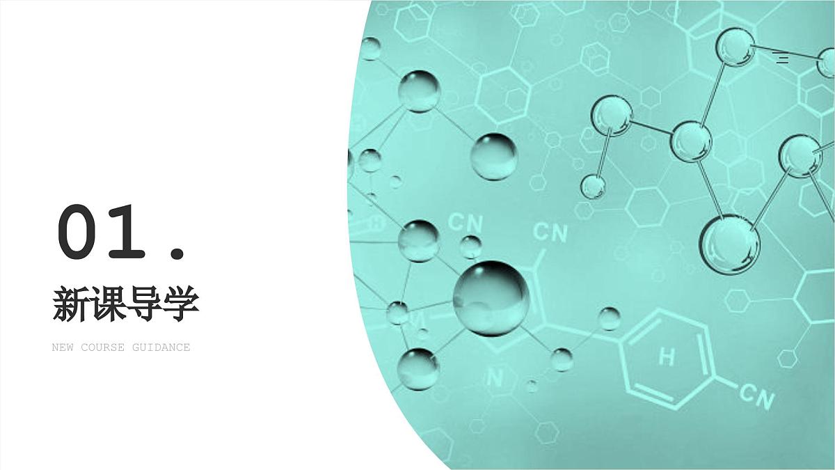 人教版2025高中生物必修二4.1基因指导蛋白质的合成 课件第3页