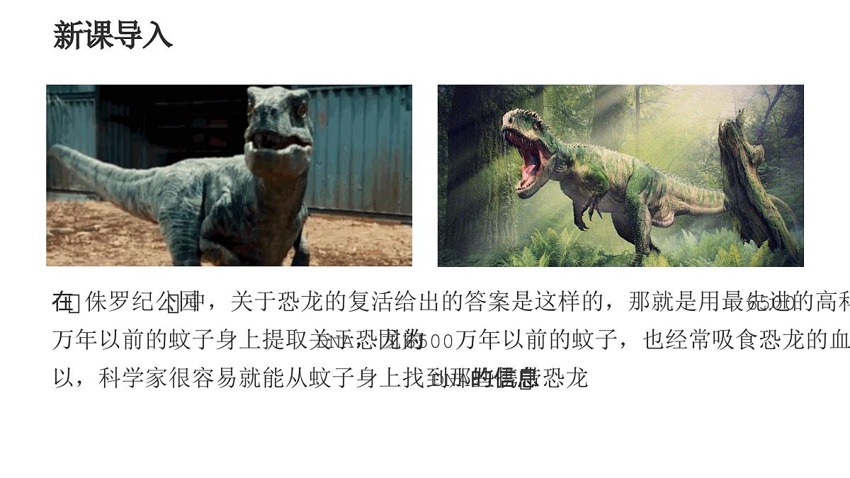 人教版2025高中生物必修二4.1基因指导蛋白质的合成 课件第4页