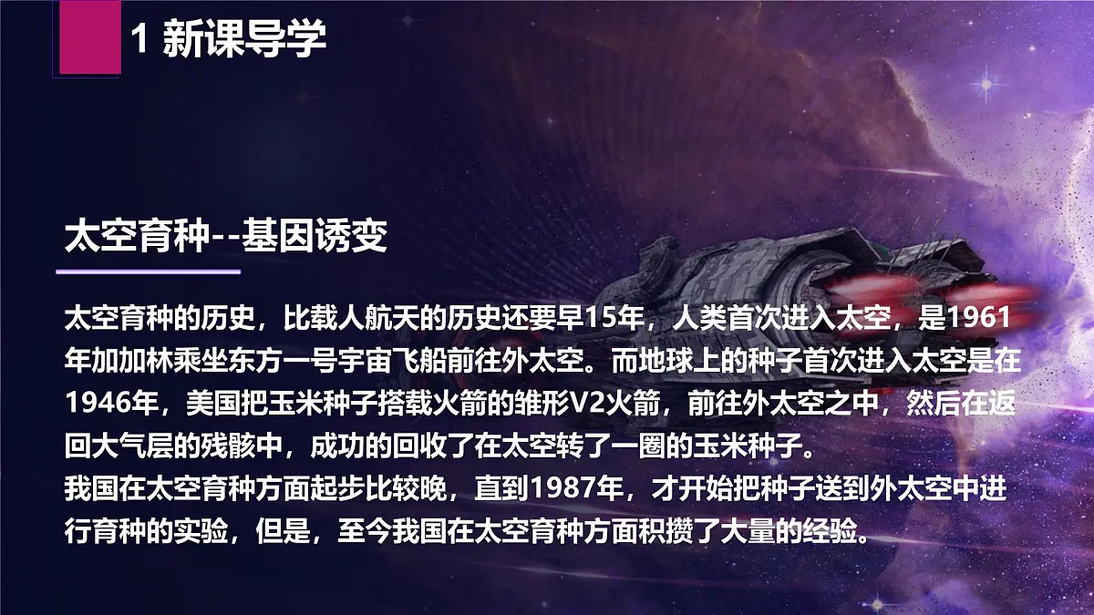 人教版2025高中生物必修二5.1基因突变和基因重组 课件第4页