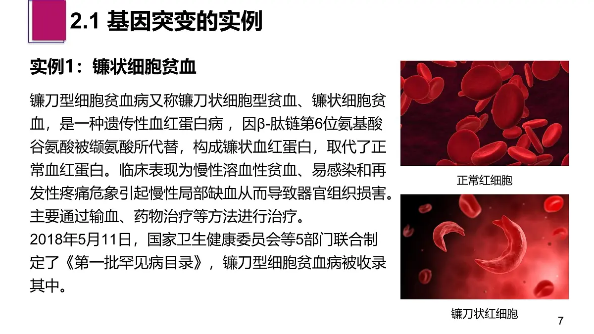 人教版2025高中生物必修二5.1基因突变和基因重组 课件第7页