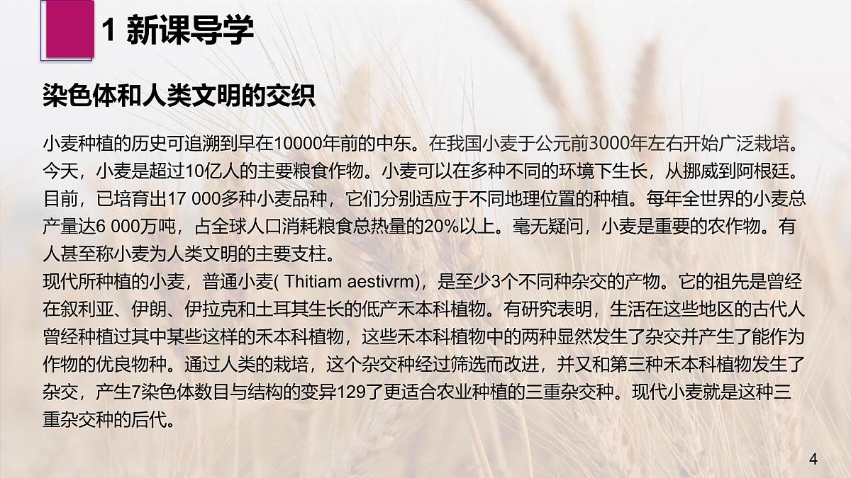 人教版2025高中生物必修二5.2染色体变异 课件第4页