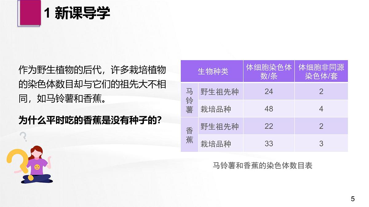 人教版2025高中生物必修二5.2染色体变异 课件第5页
