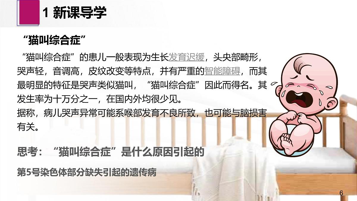 人教版2025高中生物必修二5.2染色体变异 课件第6页