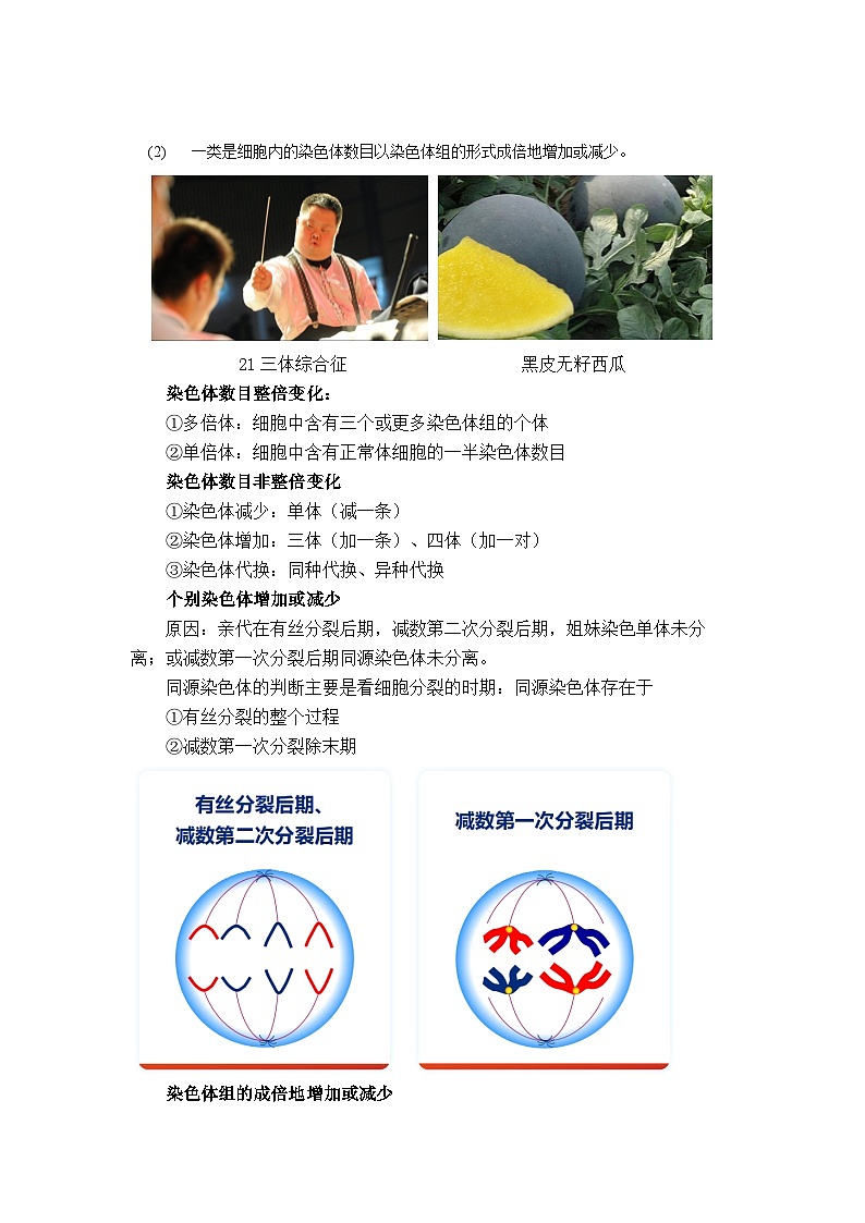 人教版2025高中生物必修二5.2染色体变异 教案第3页