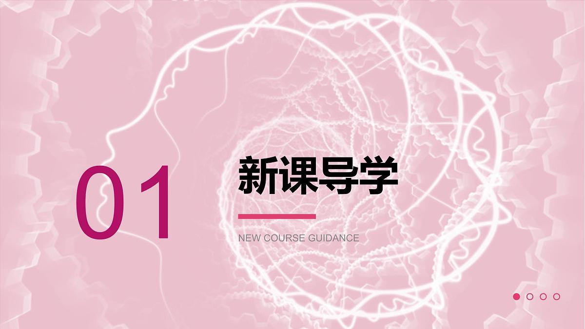 人教版2025高中生物必修二5.3人类遗传病 课件第3页