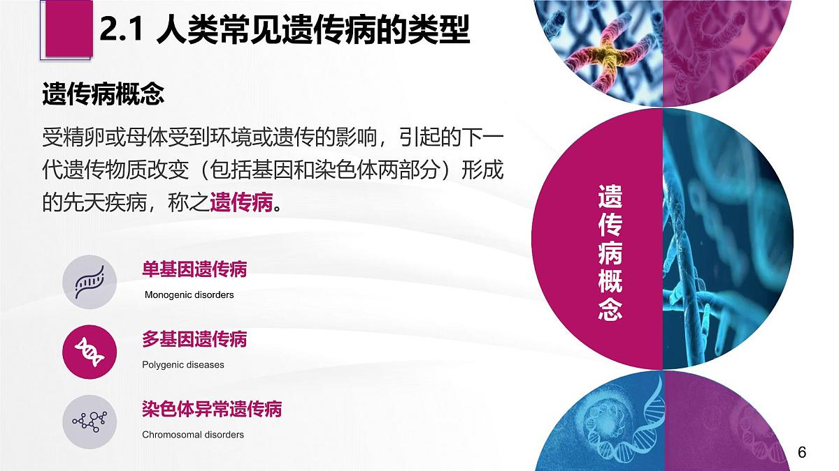 人教版2025高中生物必修二5.3人类遗传病 课件第6页