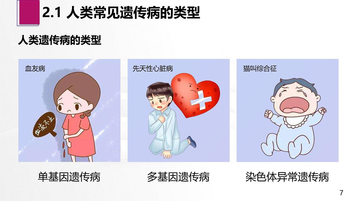 人教版2025高中生物必修二5.3人类遗传病 课件第7页